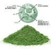 CHLORELLA TABLETTER ØKOLOGISK 125 GRAM