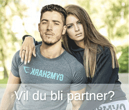 tjen penger på din blogg